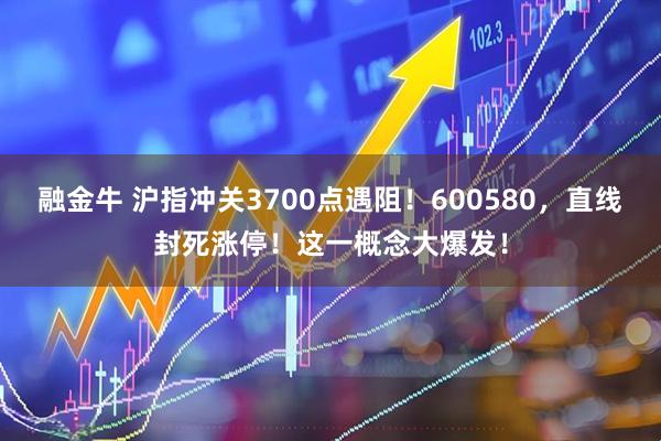 融金牛 沪指冲关3700点遇阻！600580，直线封死涨停！这一概念大爆发！