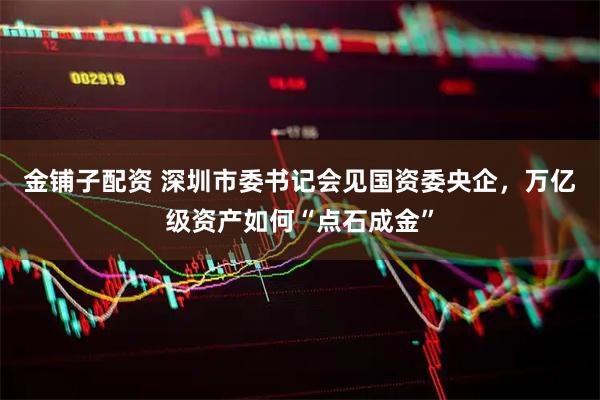金铺子配资 深圳市委书记会见国资委央企，万亿级资产如何“点石成金”