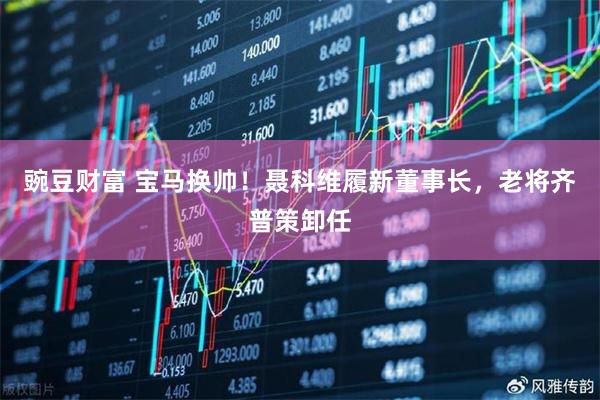 豌豆财富 宝马换帅！聂科维履新董事长，老将齐普策卸任