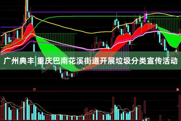 广州典丰 重庆巴南花溪街道开展垃圾分类宣传活动