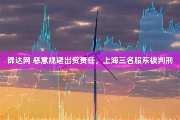 锦达网 恶意规避出资责任,上海三名股东被判刑